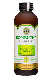 Gt’s Synergy Organic Kombucha Heavenly Hops